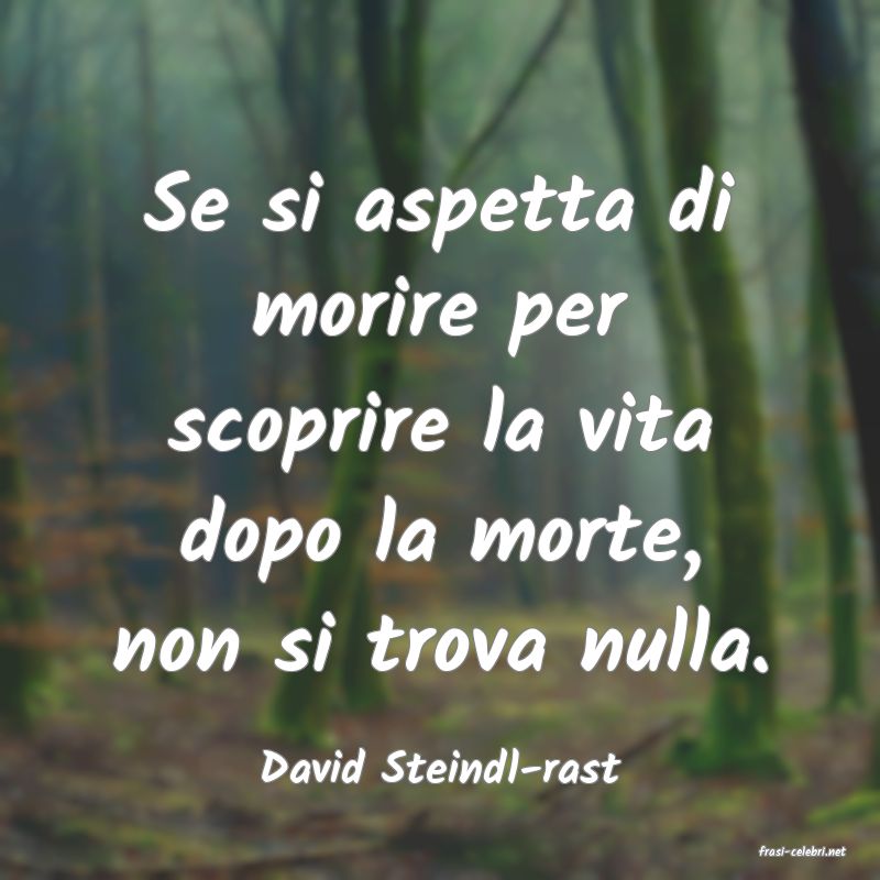 frasi di  David Steindl-rast
