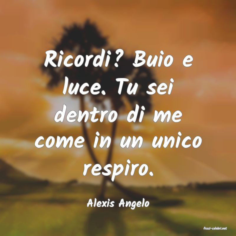 frasi di  Alexis Angelo
