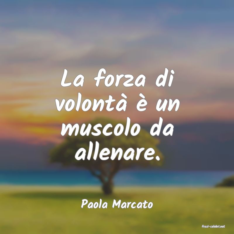 frasi di  Paola Marcato
