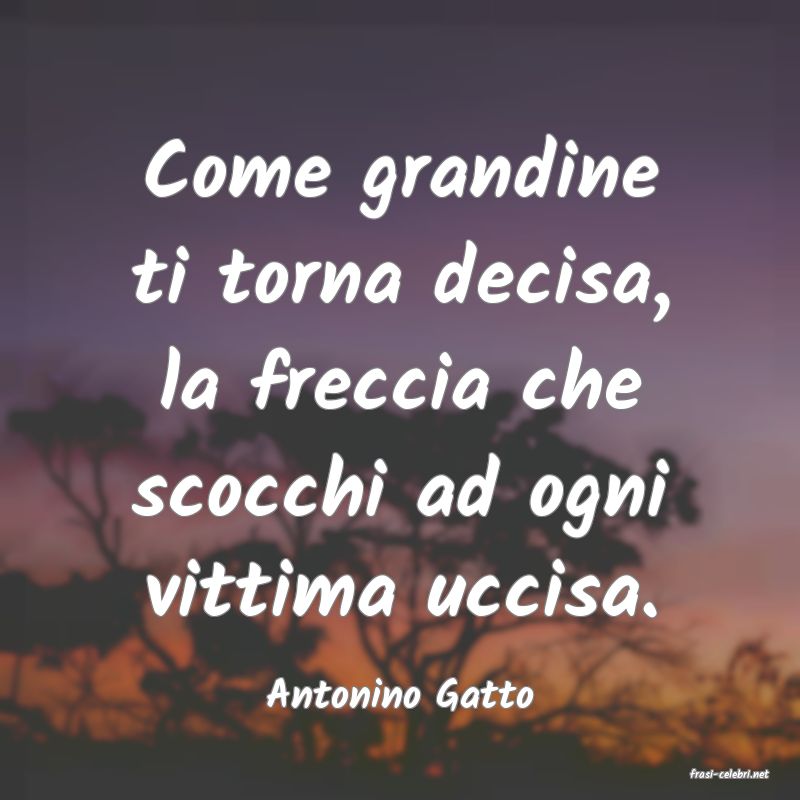 frasi di  Antonino Gatto
