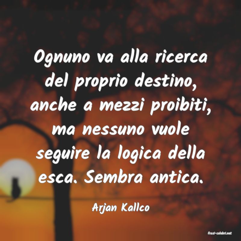 frasi di  Arjan Kallco
