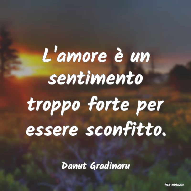 frasi di  Danut Gradinaru
