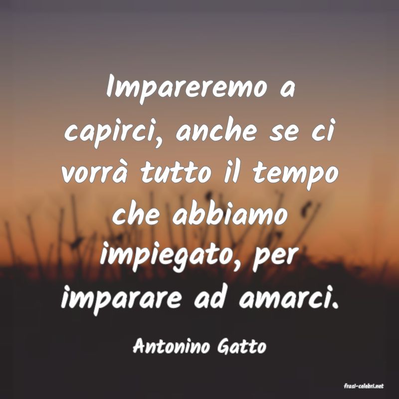 frasi di  Antonino Gatto
