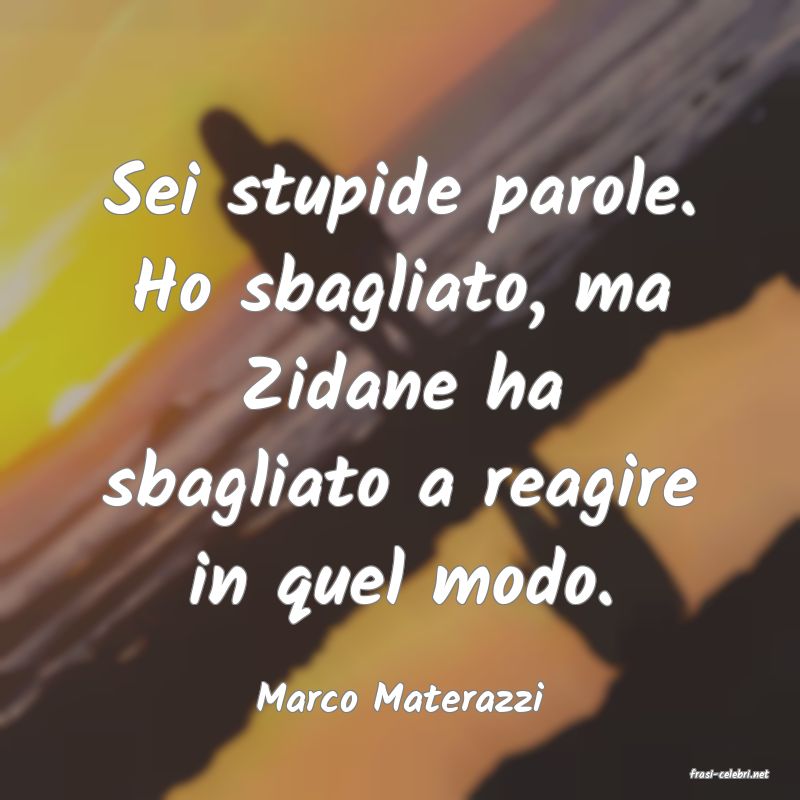 frasi di  Marco Materazzi
