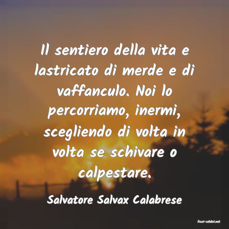 frasi di  Salvatore Salvax Calabrese
