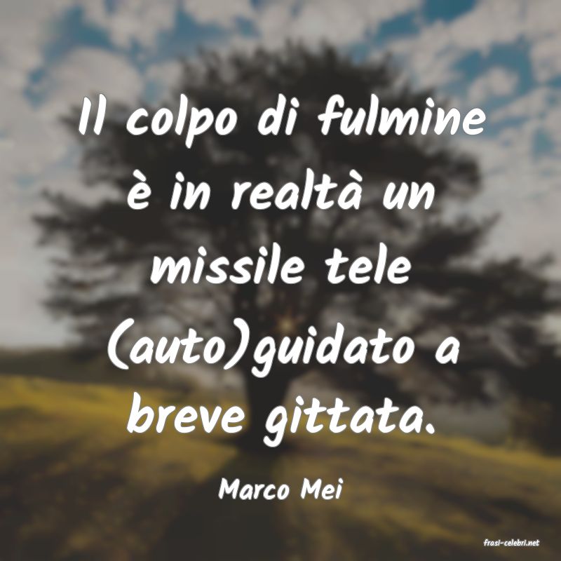 frasi di  Marco Mei
