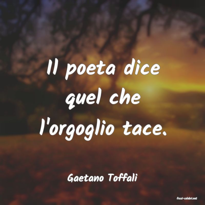 frasi di  Gaetano Toffali
