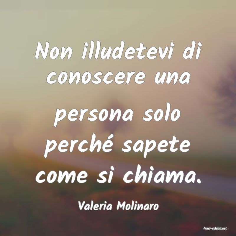 frasi di  Valeria Molinaro
