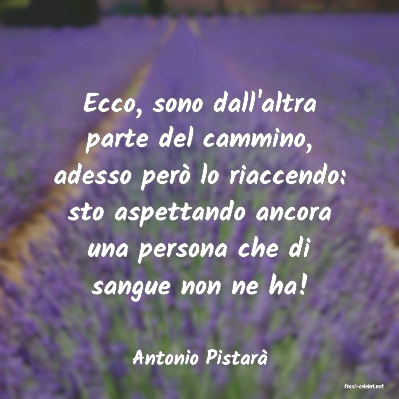 frasi di Antonio Pistar