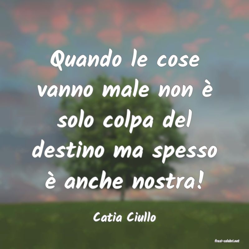 frasi di  Catia Ciullo
