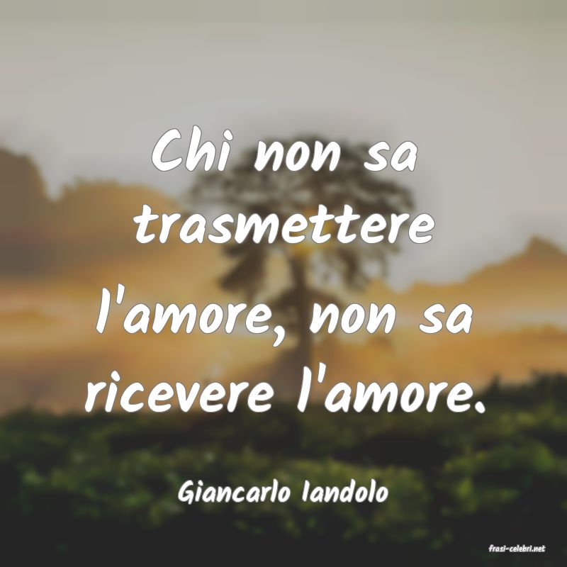 frasi di  Giancarlo Iandolo
