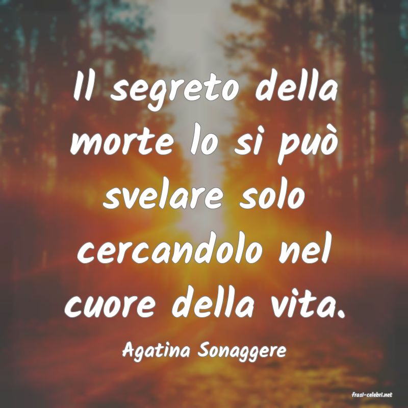 frasi di  Agatina Sonaggere
