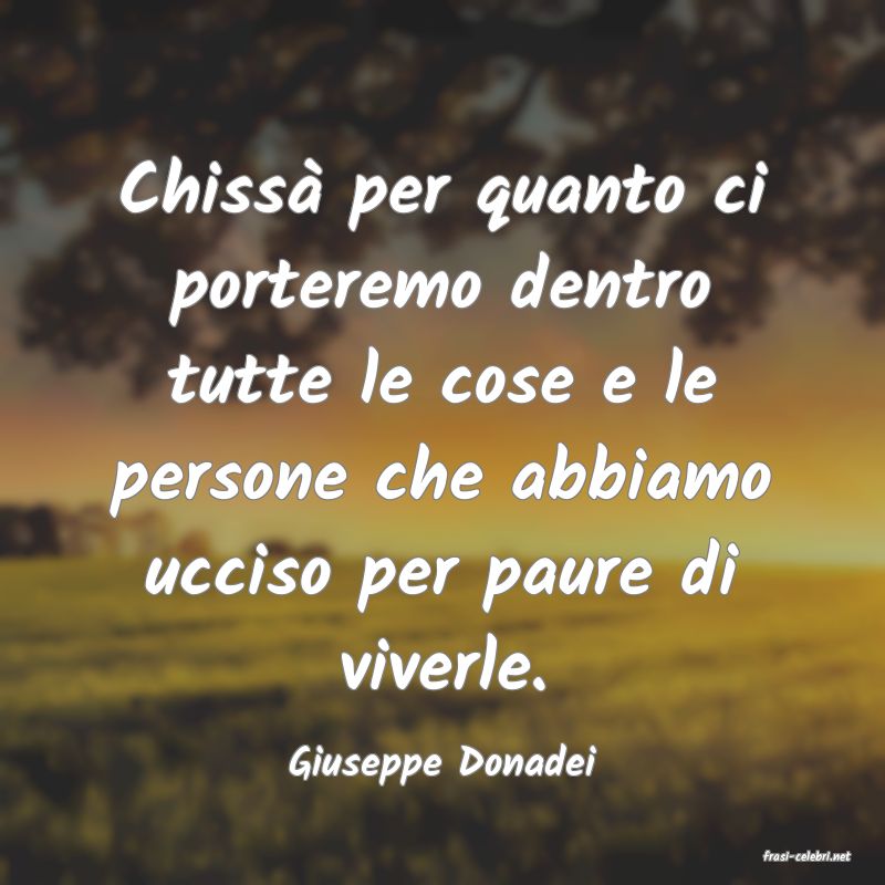 frasi di  Giuseppe Donadei
