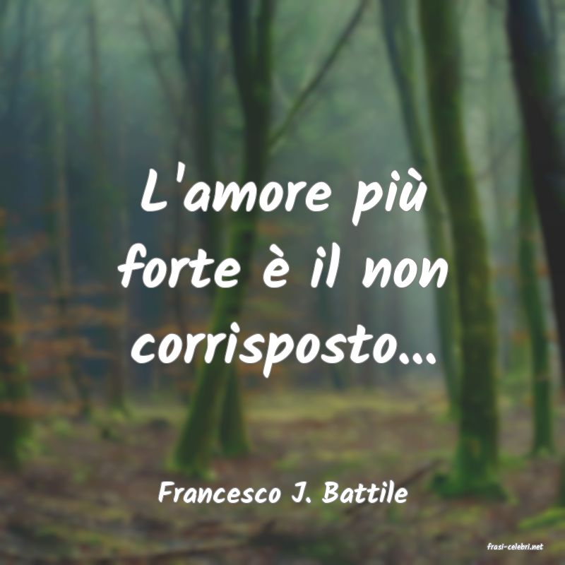 frasi di  Francesco J. Battile
