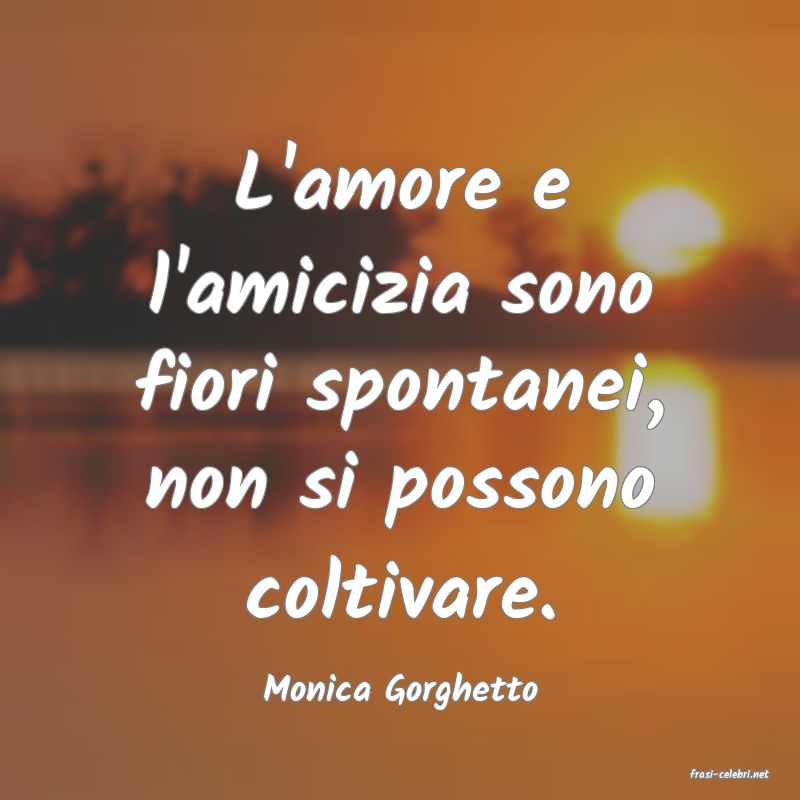 frasi di  Monica Gorghetto
