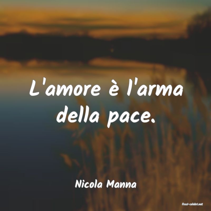 frasi di  Nicola Manna
