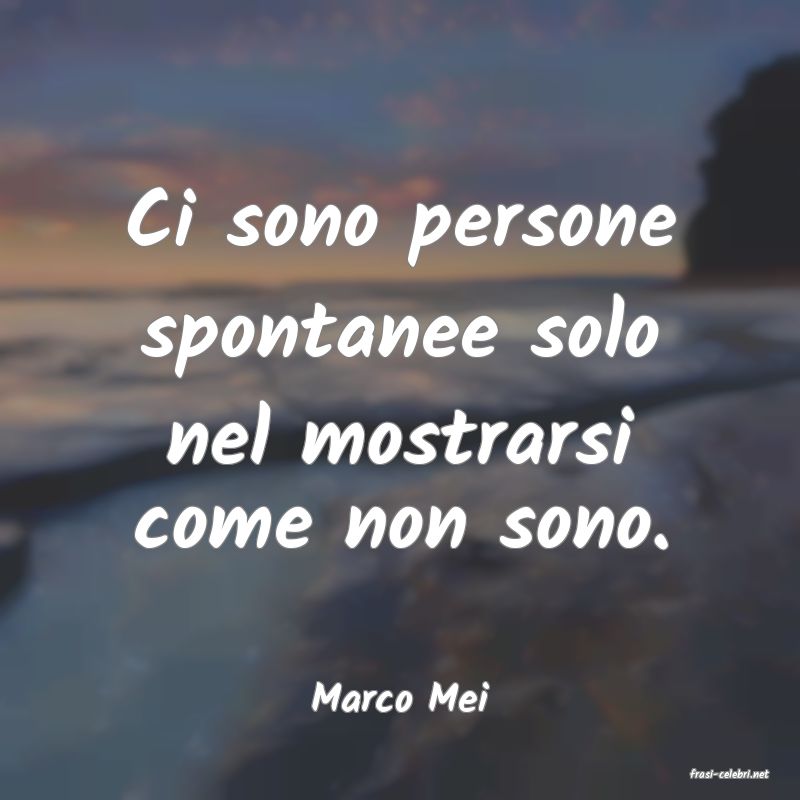 frasi di  Marco Mei
