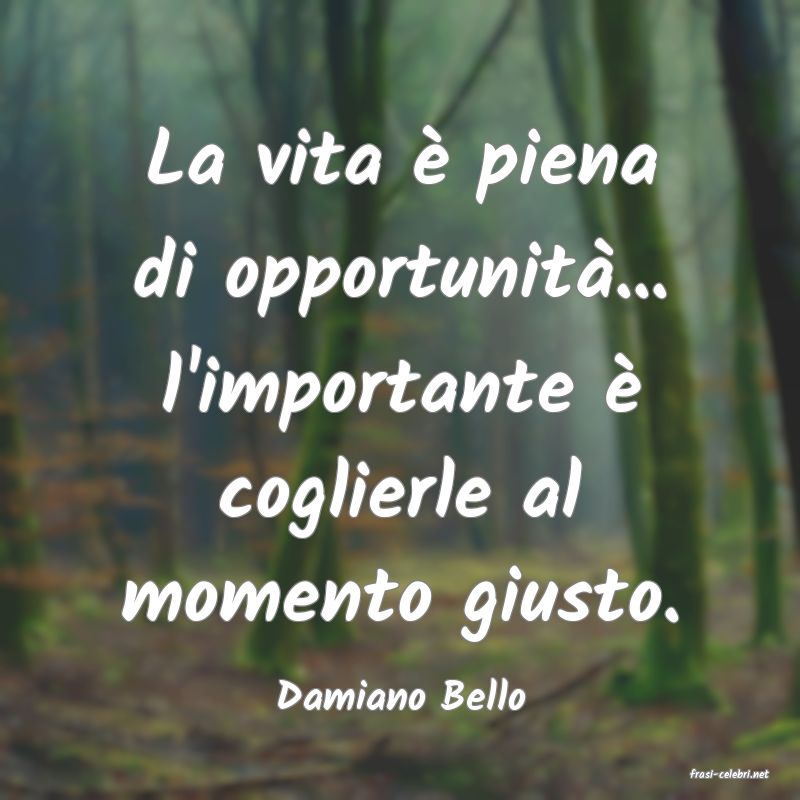 frasi di  Damiano Bello
