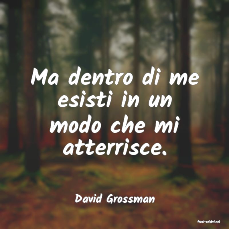 frasi di  David Grossman
