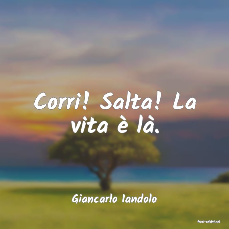 frasi di  Giancarlo Iandolo
