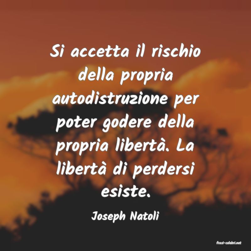 frasi di  Joseph Natoli
