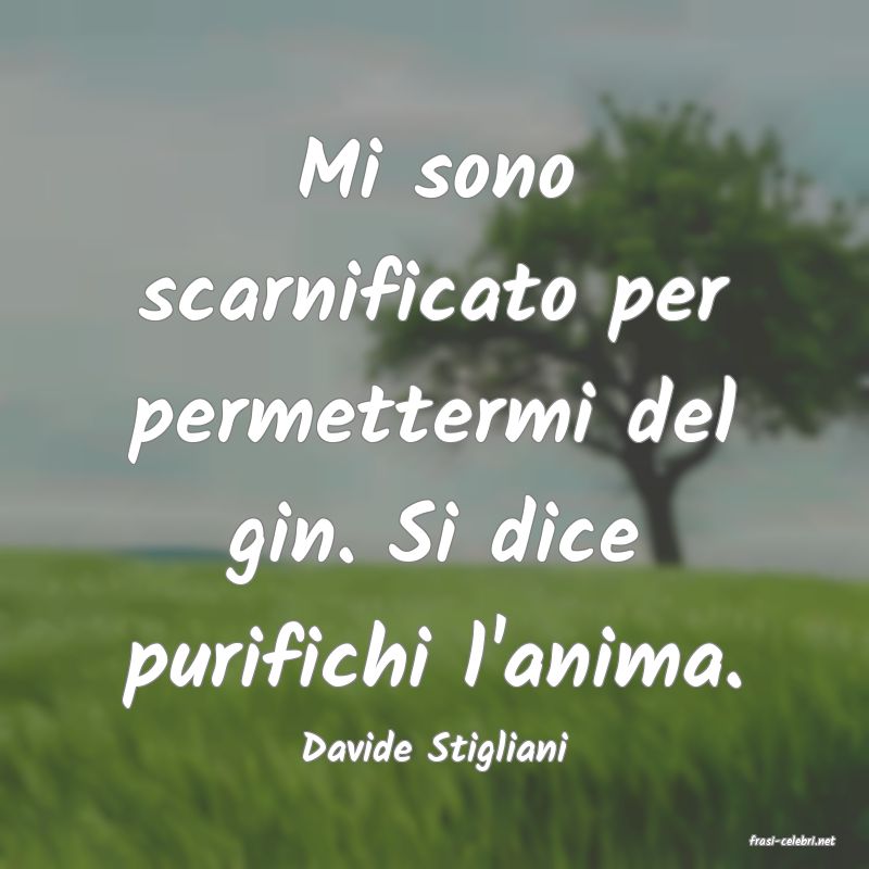 frasi di  Davide Stigliani
