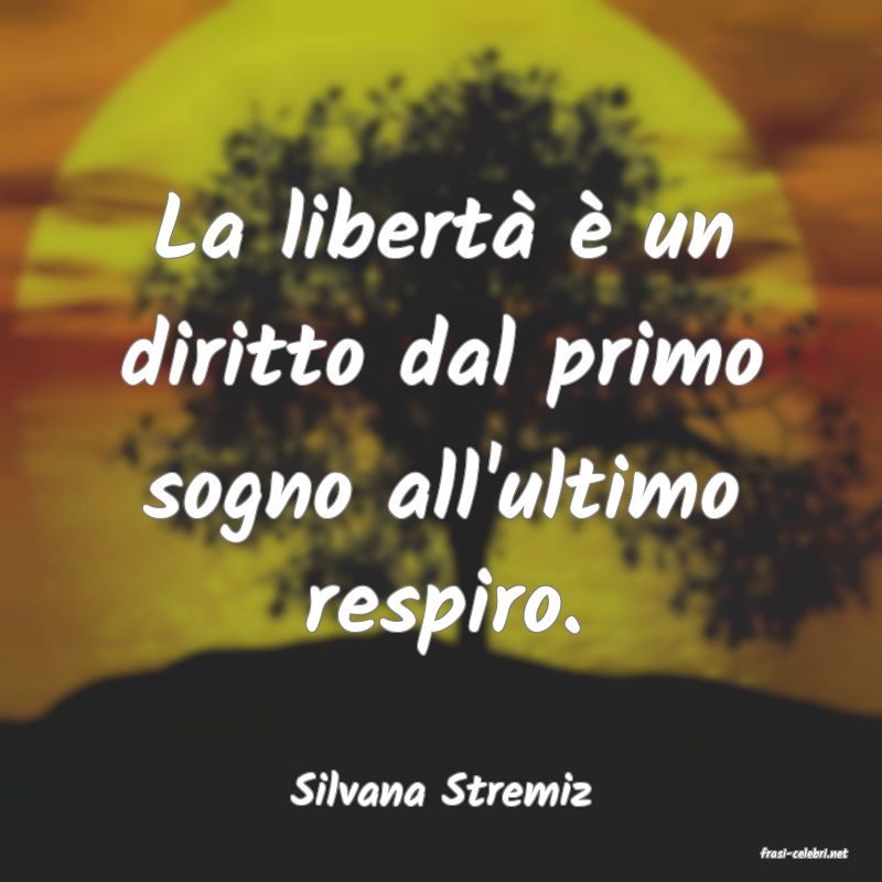 frasi di Silvana Stremiz