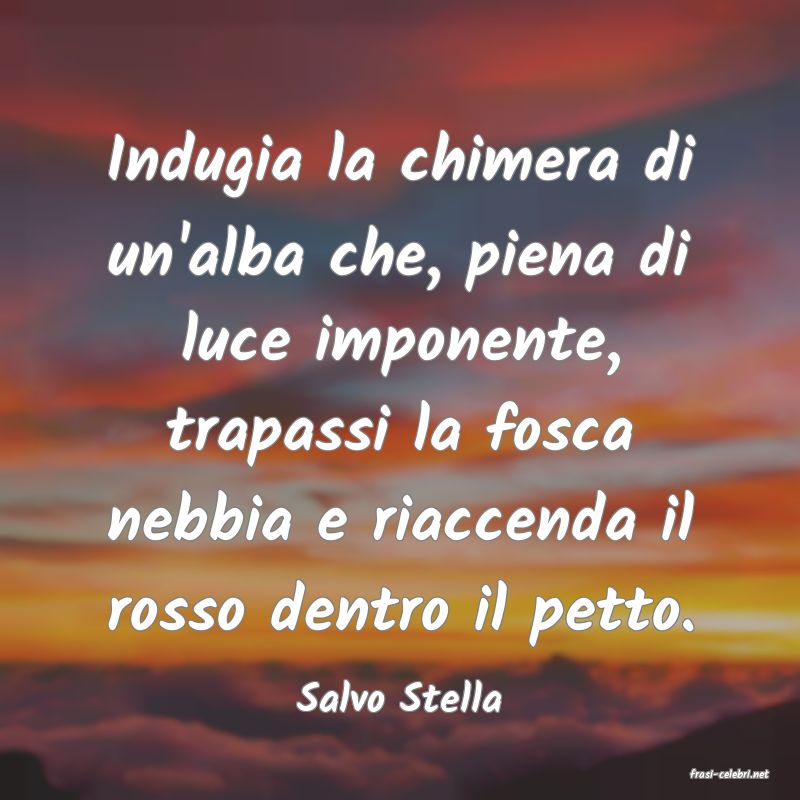 frasi di  Salvo Stella
