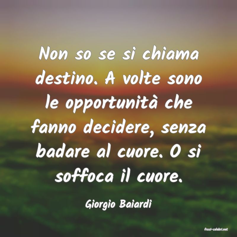 frasi di  Giorgio Baiardi
