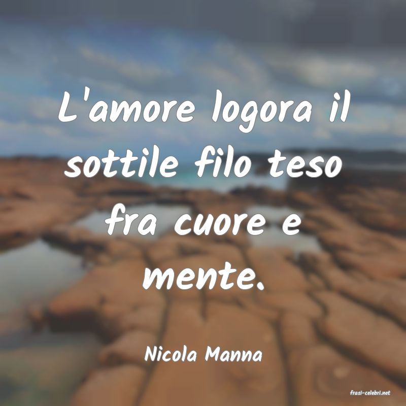 frasi di  Nicola Manna
