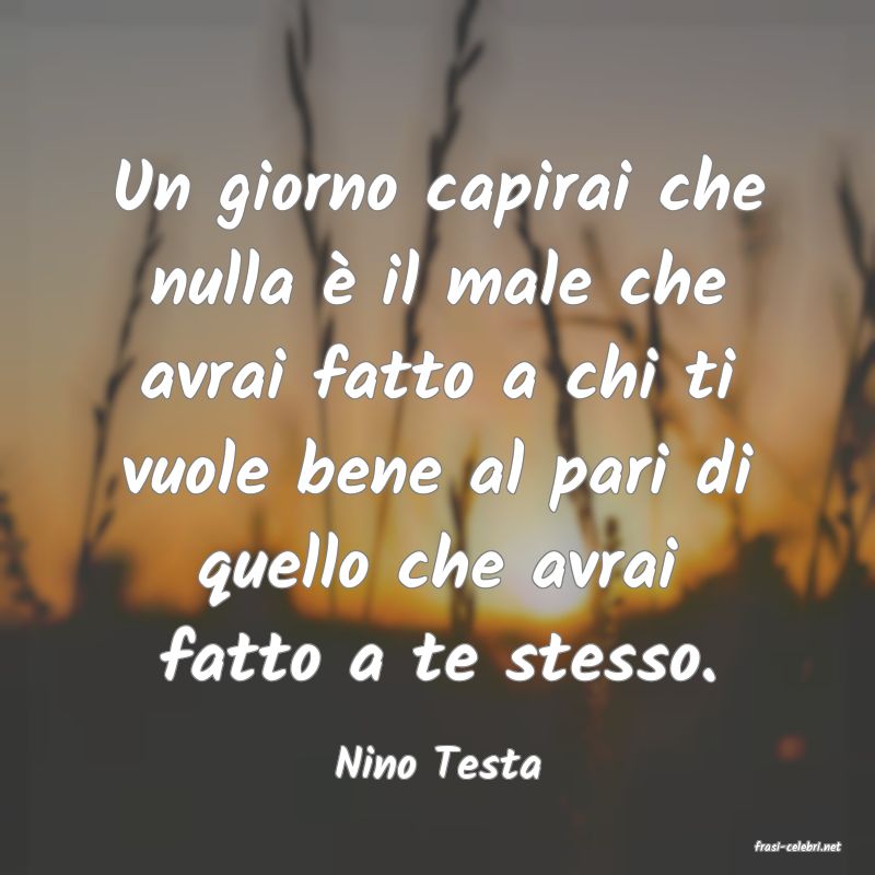 frasi di  Nino Testa
