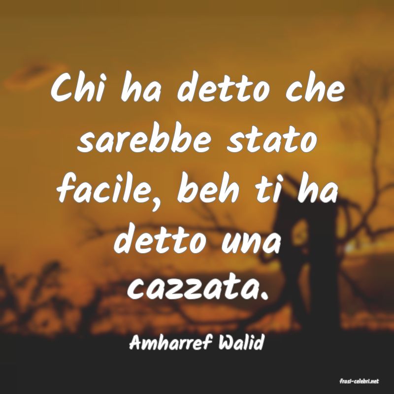 frasi di  Amharref Walid
