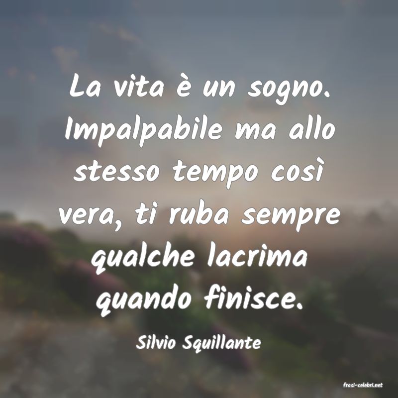 frasi di  Silvio Squillante
