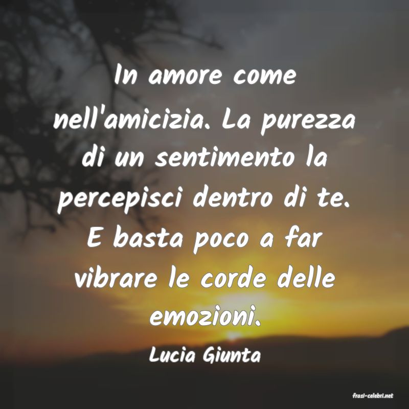 frasi di  Lucia Giunta
