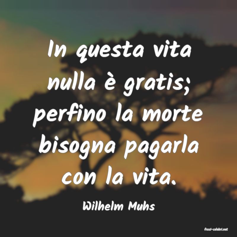 frasi di  Wilhelm Muhs
