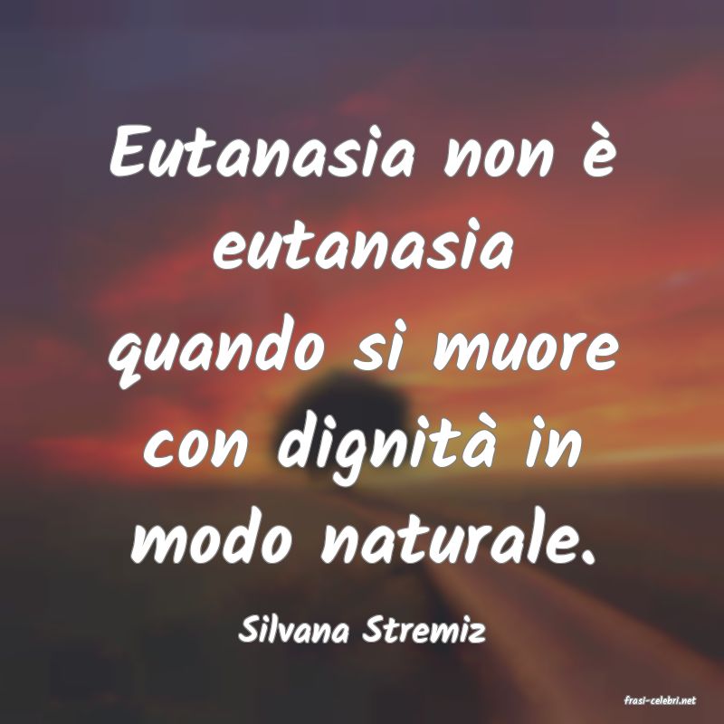 frasi di  Silvana Stremiz
