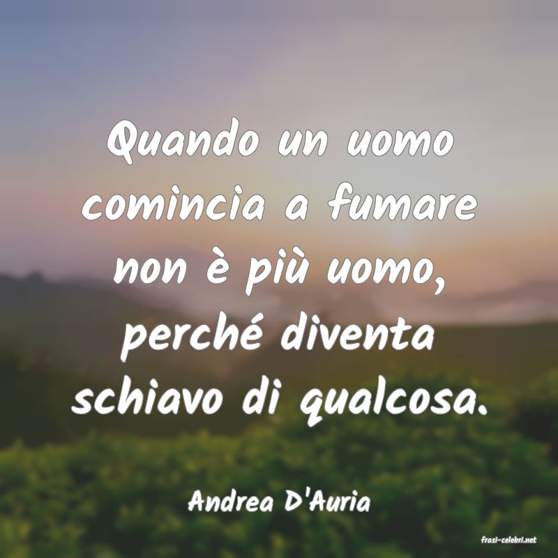 frasi di Andrea D'Auria