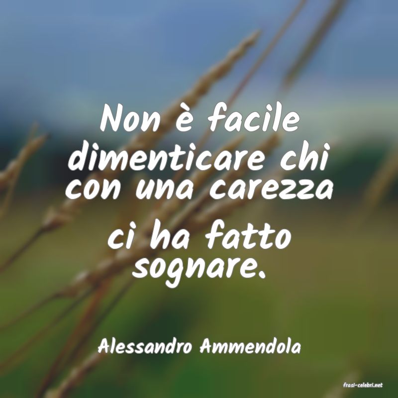 frasi di  Alessandro Ammendola
