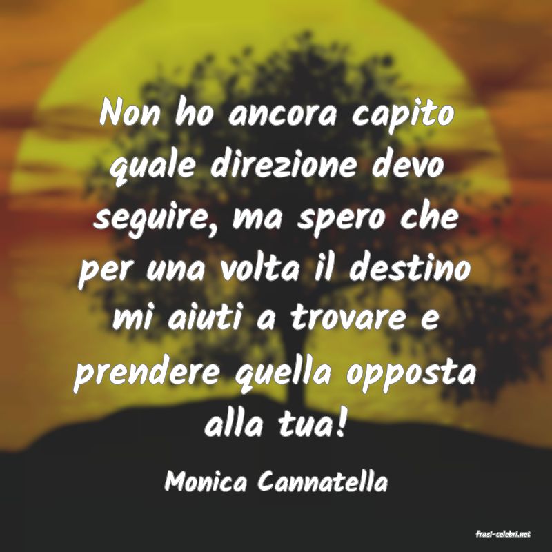 frasi di  Monica Cannatella
