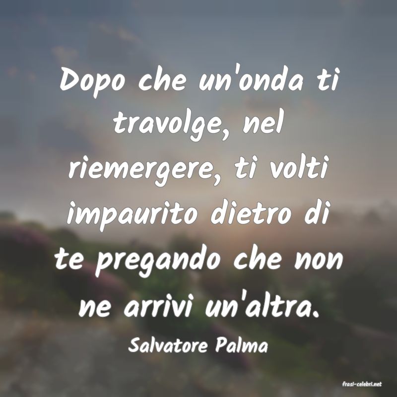 frasi di  Salvatore Palma
