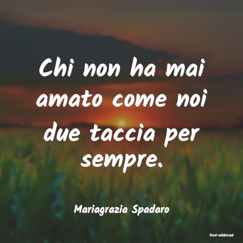 frasi di  Mariagrazia Spadaro
