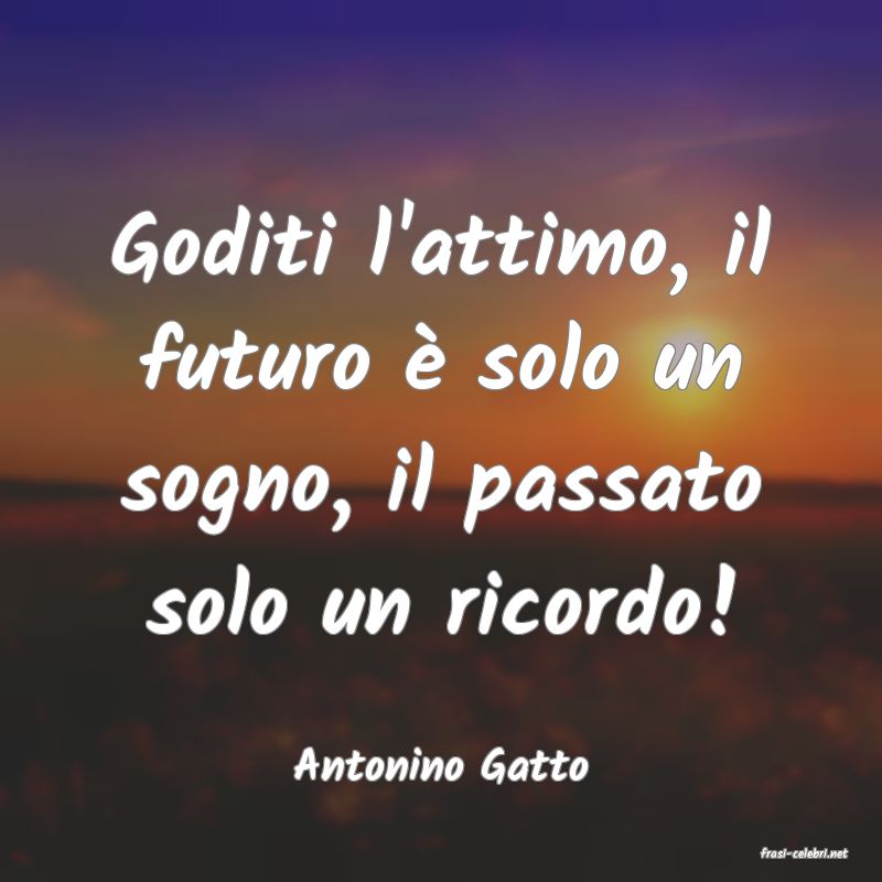 frasi di  Antonino Gatto
