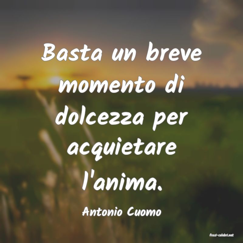 frasi di  Antonio Cuomo
