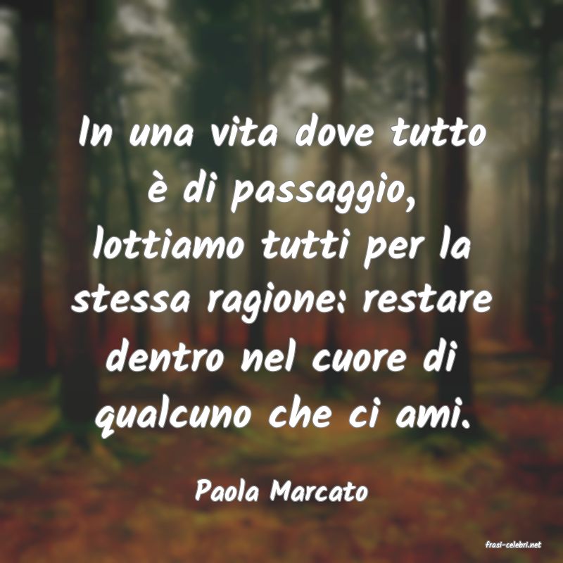 frasi di  Paola Marcato
