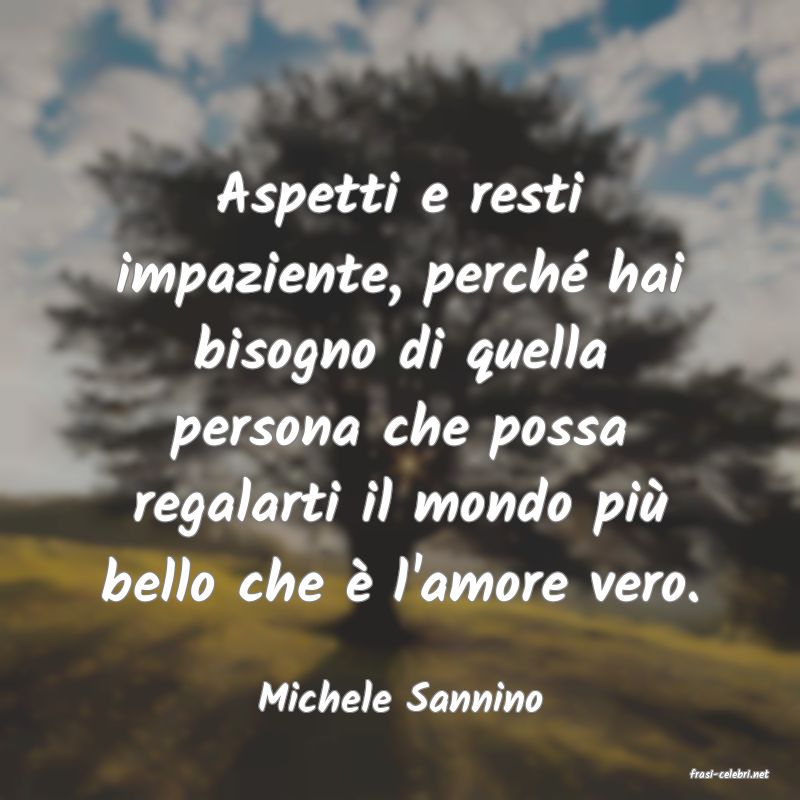 frasi di  Michele Sannino
