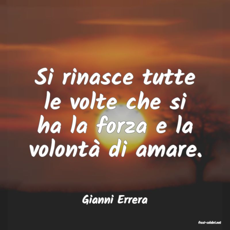 frasi di  Gianni Errera
