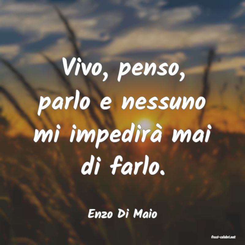 frasi di  Enzo Di Maio
