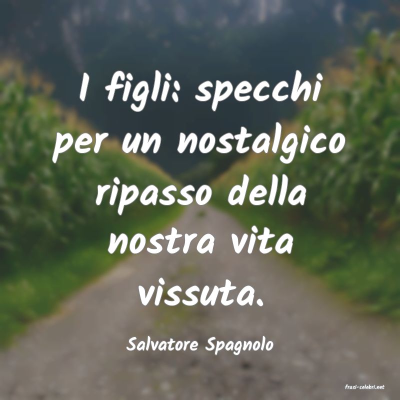 frasi di  Salvatore Spagnolo
