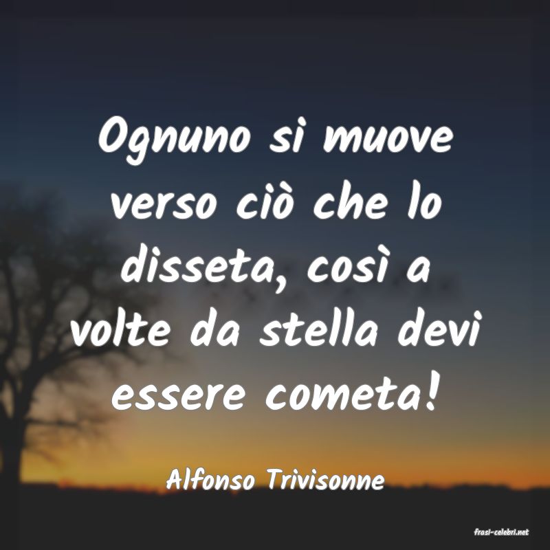 frasi di  Alfonso Trivisonne
