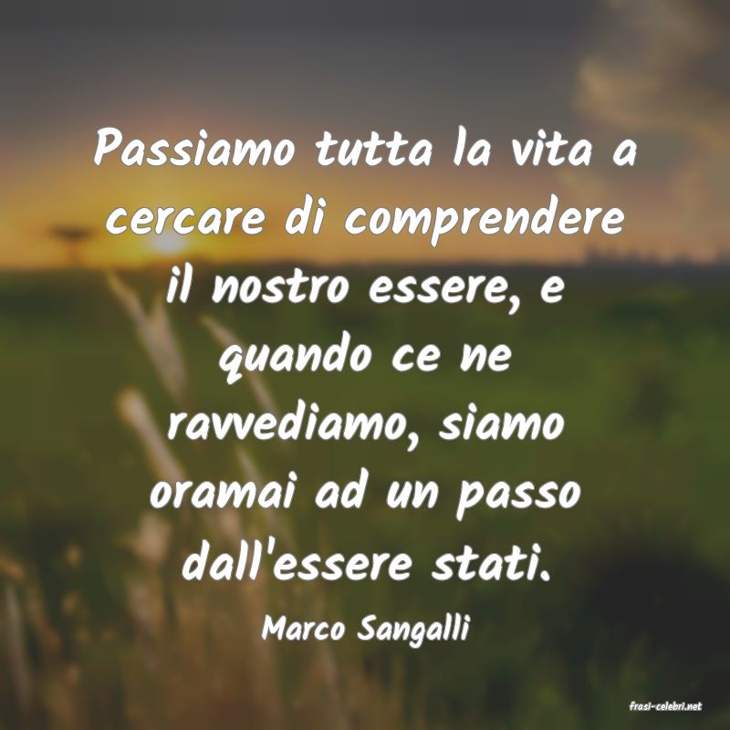 frasi di  Marco Sangalli
